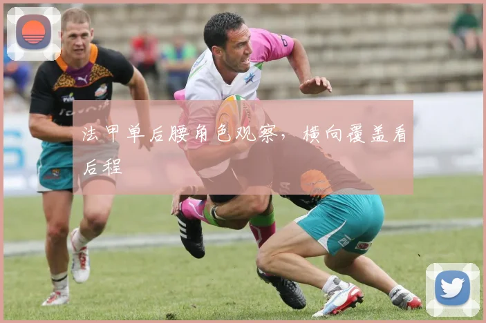 法甲单后腰角色观察，横向覆盖看后程
