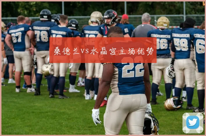 桑德兰vs水晶宫主场优势